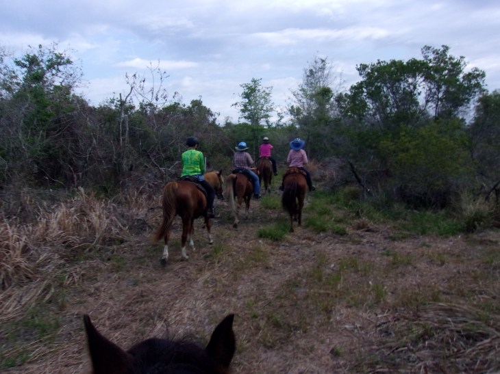 KODAK Digital Still Camera